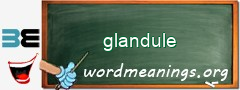 WordMeaning blackboard for glandule